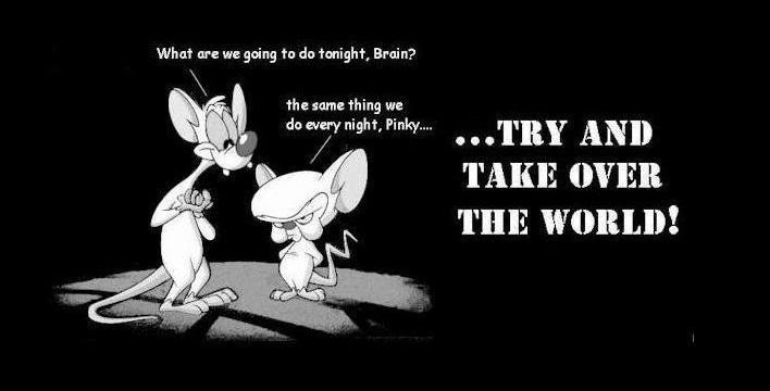 Pinky and the brain